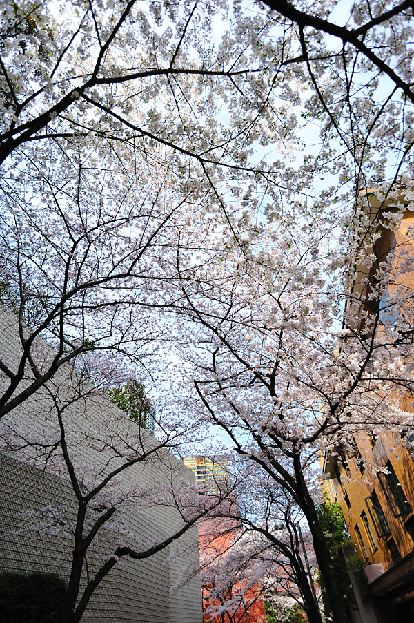 cb2011_003.jpg