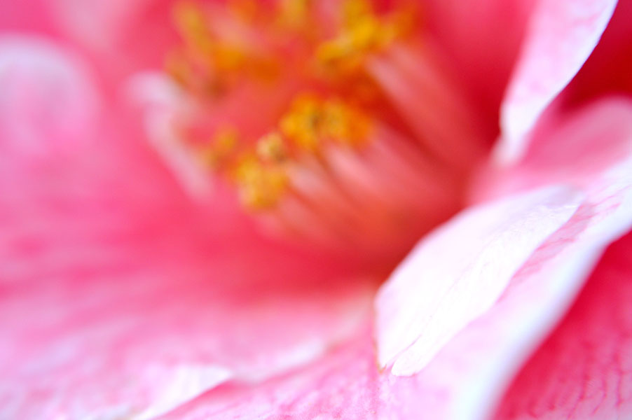cb2011_024.jpg