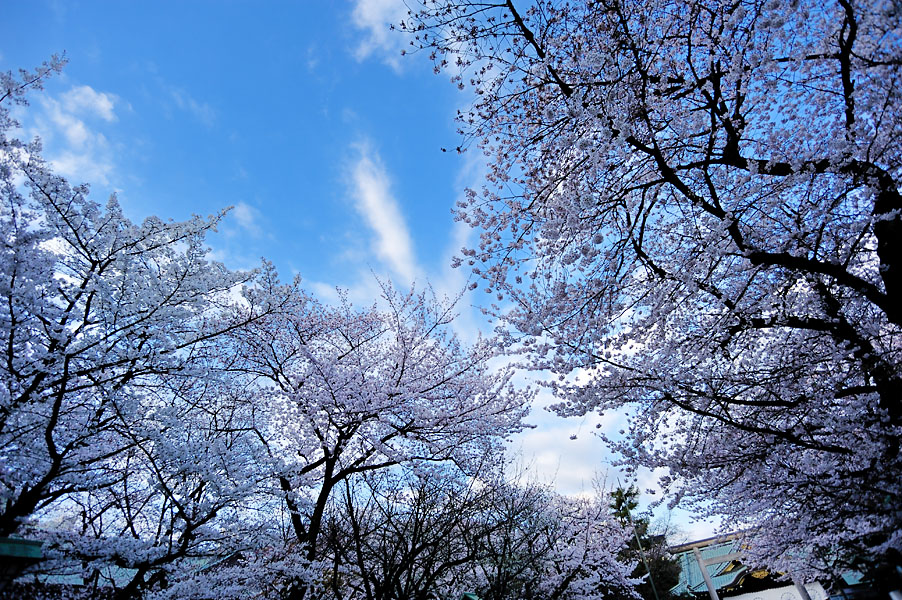 cb2012_003.jpg