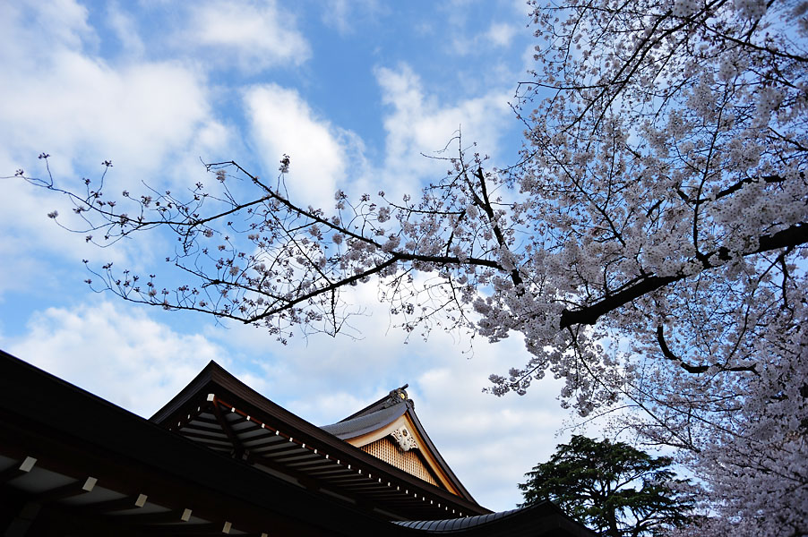 cb2012_004.jpg