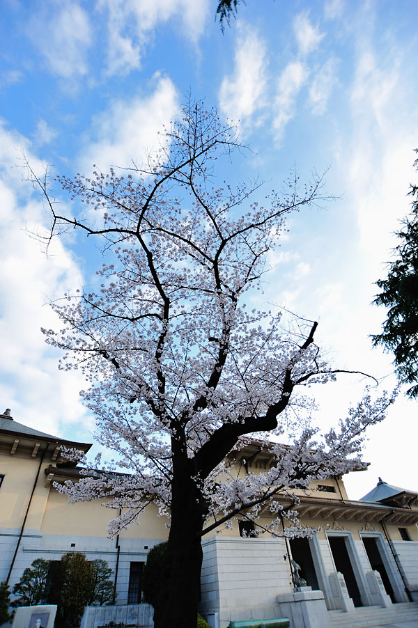 cb2012_005.jpg