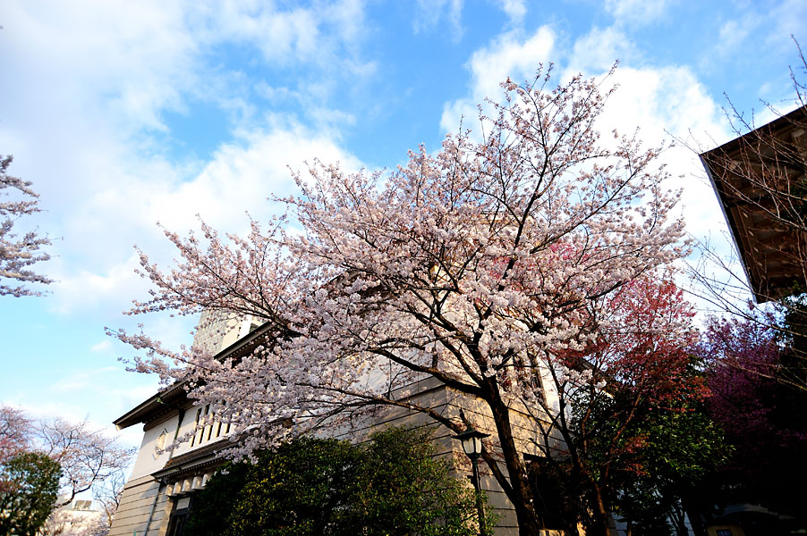 cb2012_006.jpg