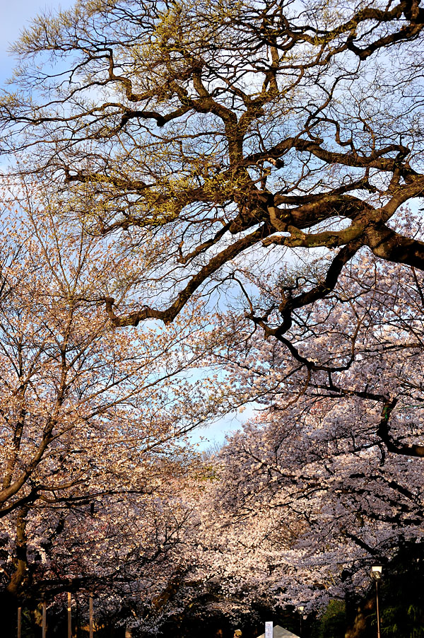 cb2012_009.jpg