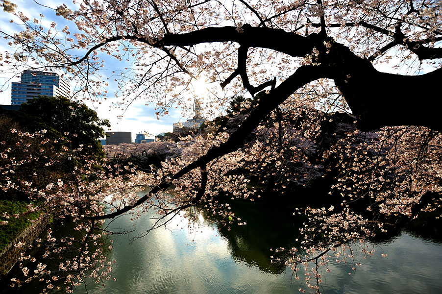 cb2012_011.jpg
