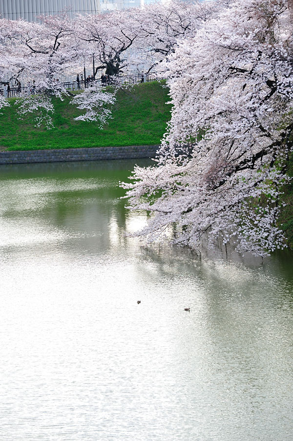 cb2012_015.jpg