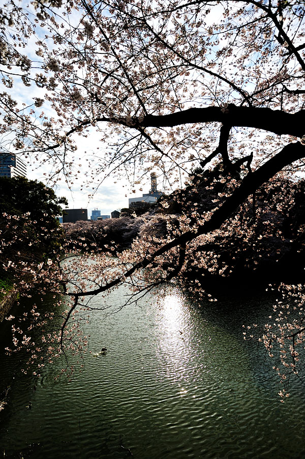 cb2012_018.jpg