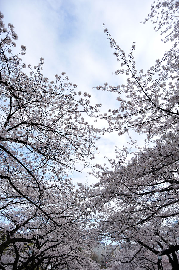 cb2012_022.jpg