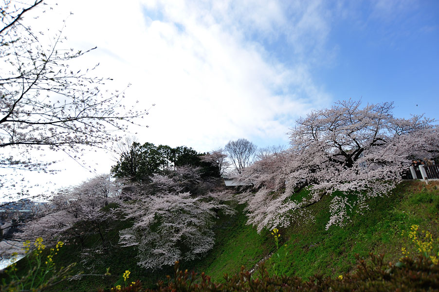 cb2012_023.jpg