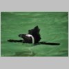 zoo_002.jpg