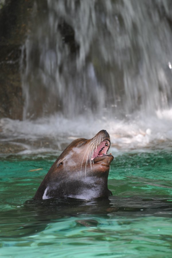 zoo_003.jpg