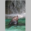 zoo_003.jpg