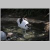zoo_004.jpg