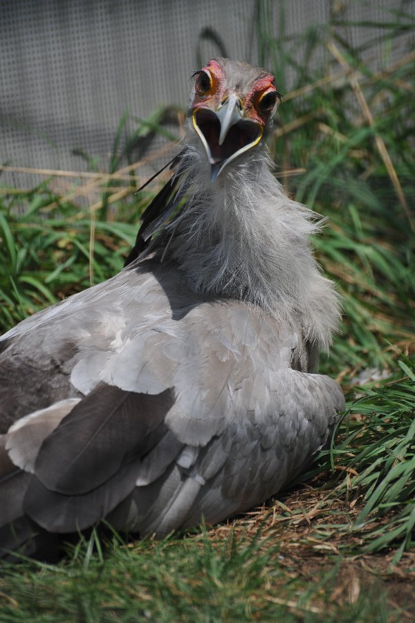 zoo_005.jpg