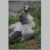 zoo_005.jpg