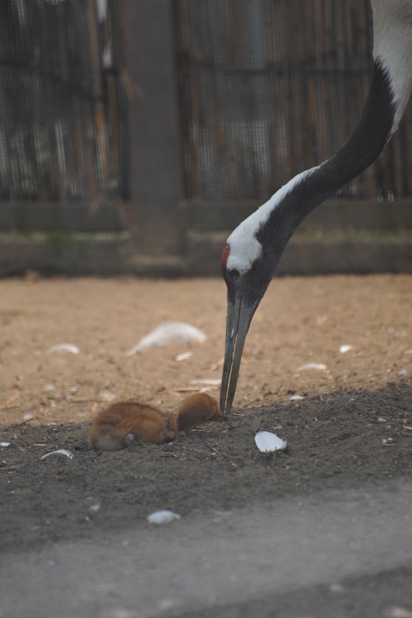 zoo_006.jpg