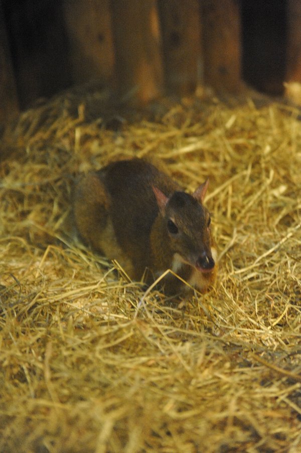 zoo_007.jpg