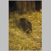 zoo_007.jpg