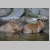 zoo_008.jpg