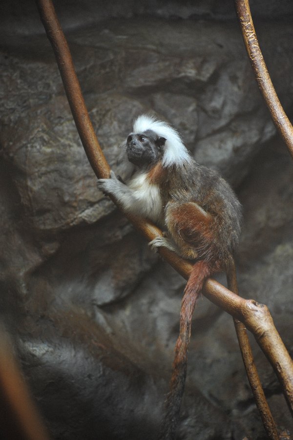 zoo_009.jpg