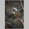 zoo_009.jpg