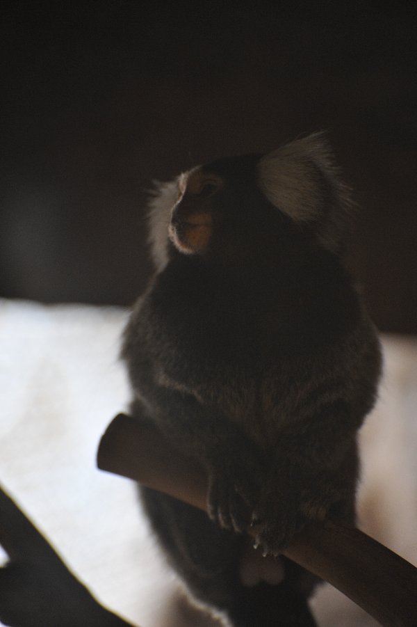 zoo_010.jpg
