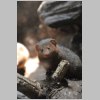 zoo_011.jpg