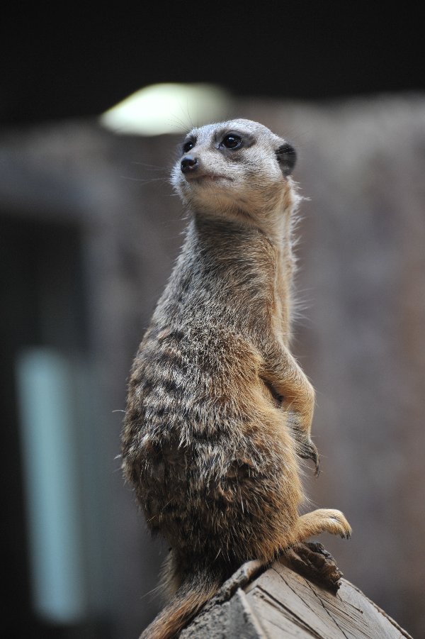 zoo_012.jpg