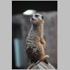 zoo_012.jpg