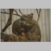 zoo_013.jpg