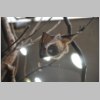 zoo_014.jpg