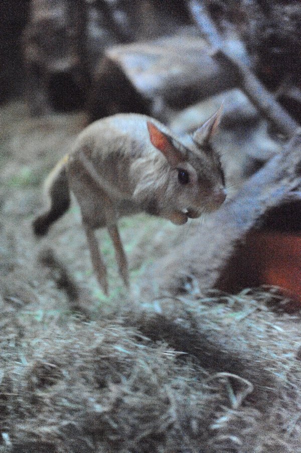 zoo_015.jpg