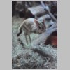 zoo_015.jpg