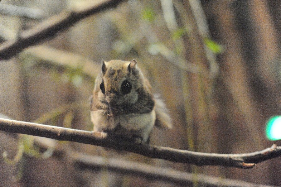 zoo_016.jpg