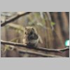 zoo_016.jpg