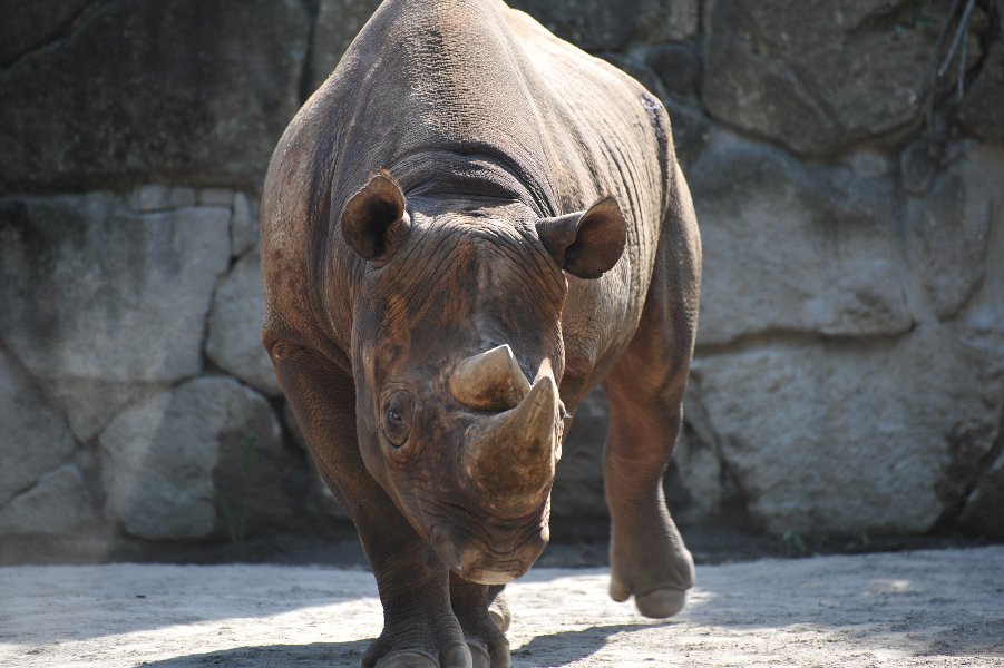 zoo_017.jpg