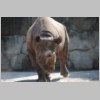 zoo_017.jpg