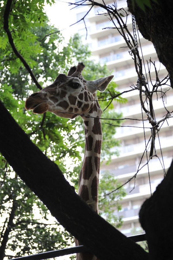 zoo_018.jpg