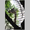 zoo_018.jpg