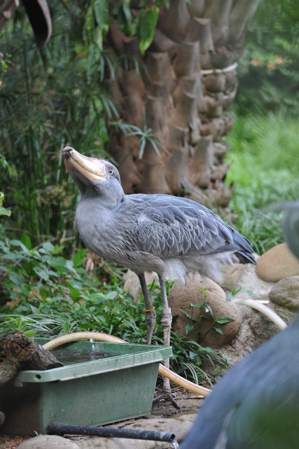 zoo_019.jpg