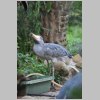 zoo_019.jpg