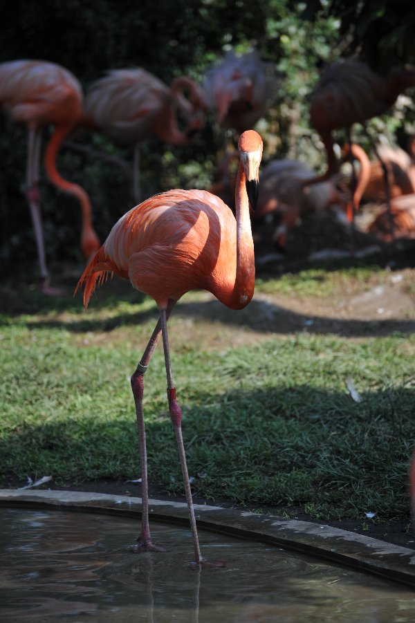 zoo_020.jpg