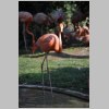 zoo_020.jpg