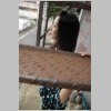 kazue48_012.jpg