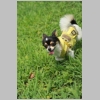 lum_sora01_018.jpg